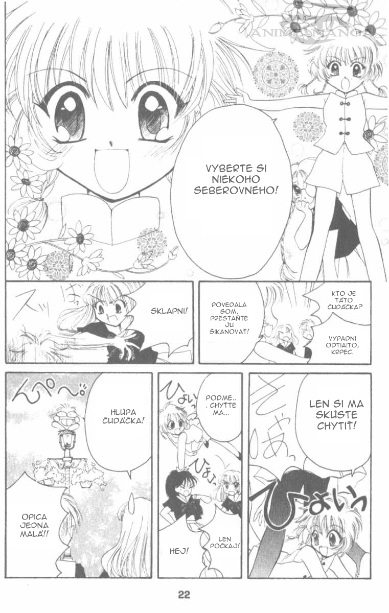 Tokyo Mew Mew 14.jpg